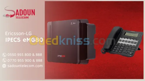 IPECS eMG80