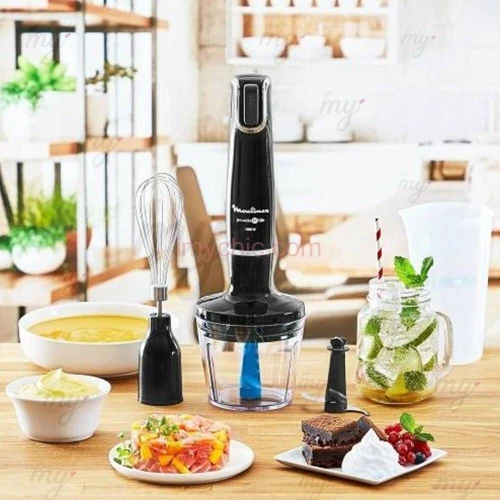 Bras Mixeur Plongeur Multifonction 4En1 1000W InfinyForce Powelix Moulinex DD944810