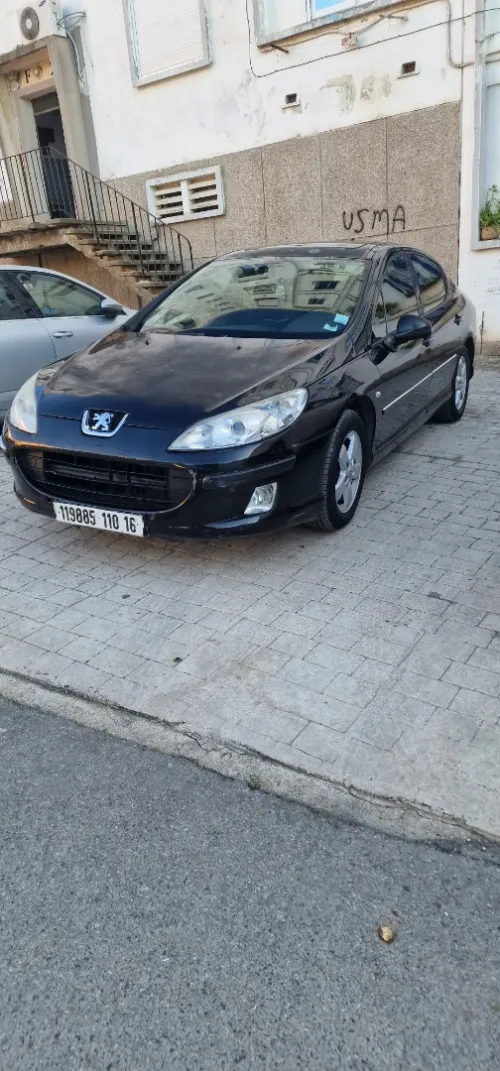 Peugeot 407 2010 407
