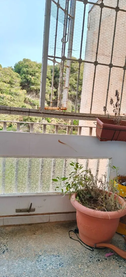 Vente Appartement F5 Alger Zeralda