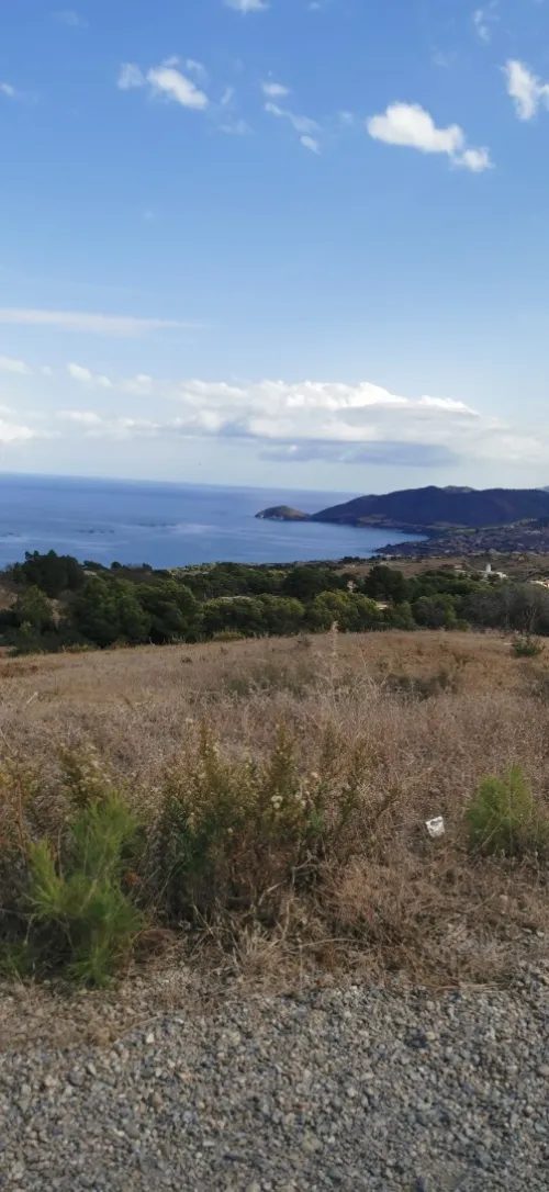 Vente Terrain Chlef Oued goussine