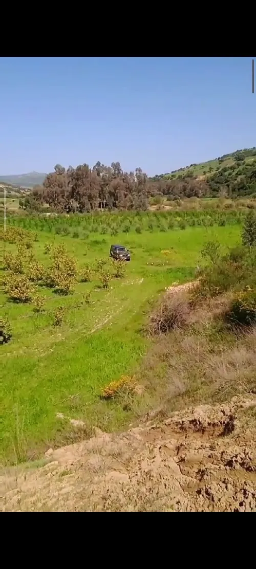 Vente Terrain Agricole Aïn Defla Ain benian 14