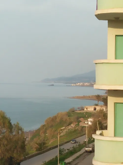 Vente Appartement Tipaza Messelmoun