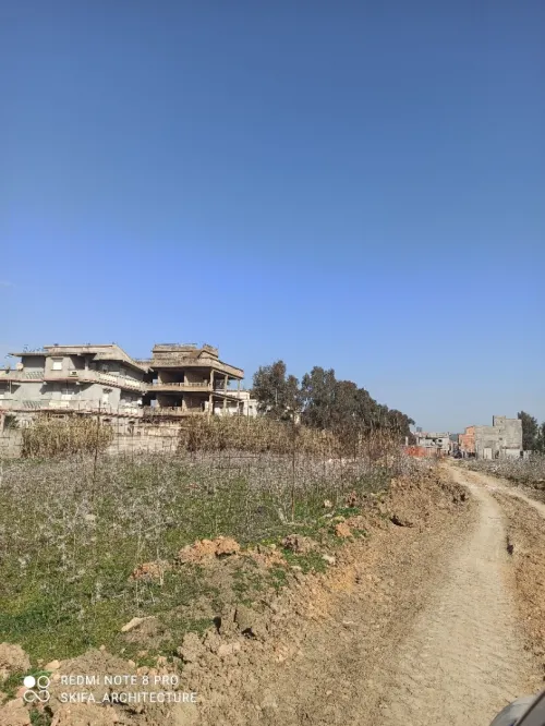 Vente Terrain Alger Tessala el merdja