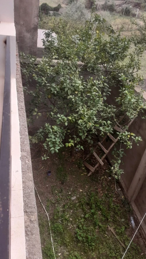 Vente Villa Skikda Collo