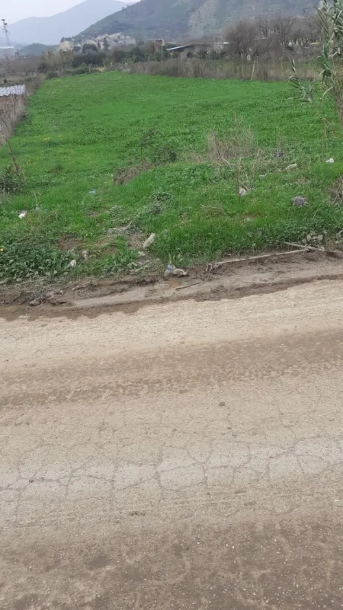 Vente Terrain Agricole Skikda Collo