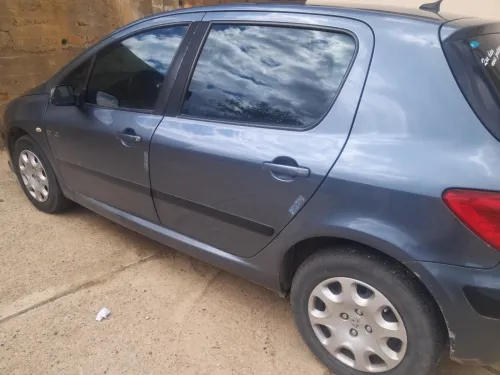 Peugeot 307 2006 307