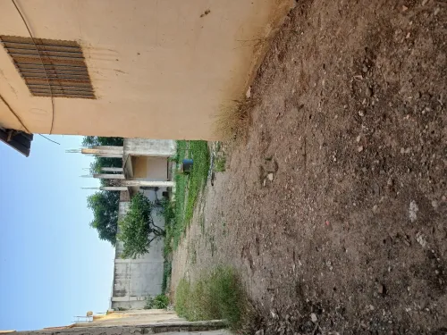Vente Hangar Blida Boufarik
