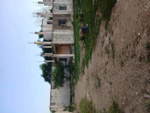 Vente Hangar Blida Boufarik