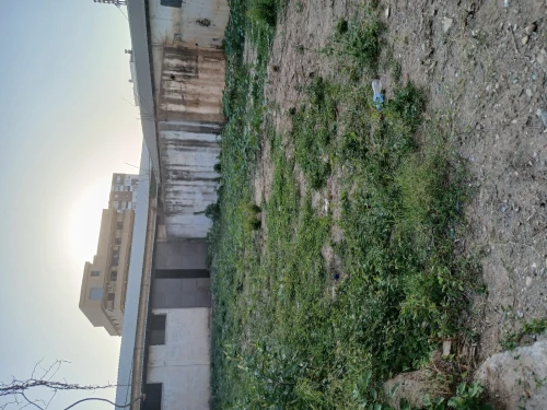 Vente Hangar Blida Boufarik