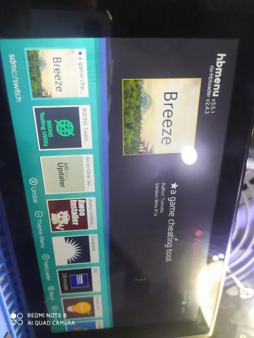 Installation Puce Nintendo Switch 
