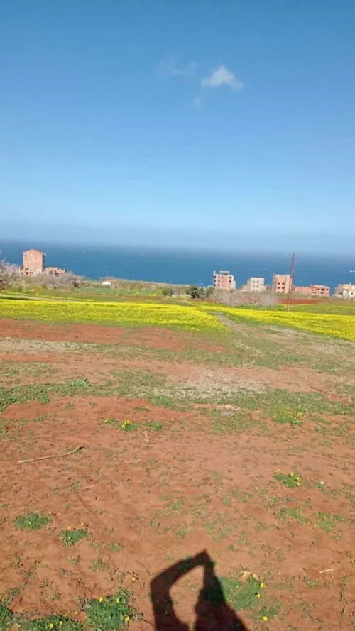 Vente Terrain Tipaza Ain tagourait