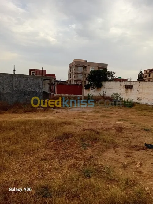 Vente Terrain Tipaza Kolea