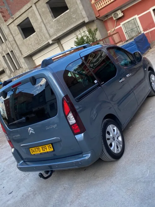 Citroen Berlingo 2009 