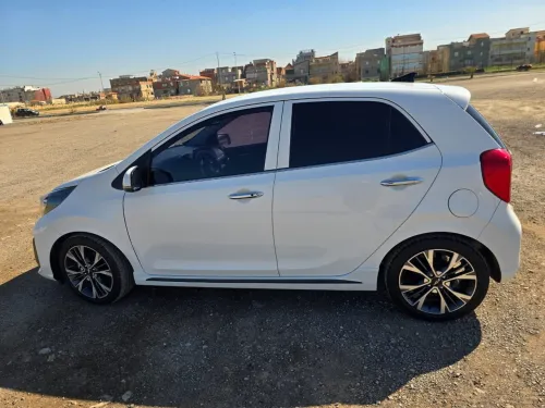 Kia Picanto 2023 Morning