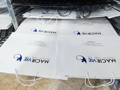 sac en carton (dimensions , quantités a partir du 100 , couleurs disponibles , qualité garantie 100%