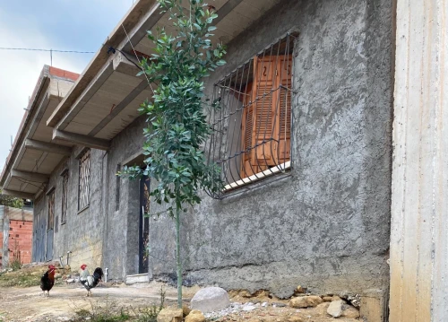 Vente bien immobilier Blida Ain romana
