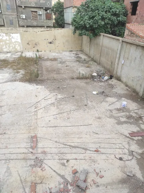 Vente Terrain Blida Chiffa