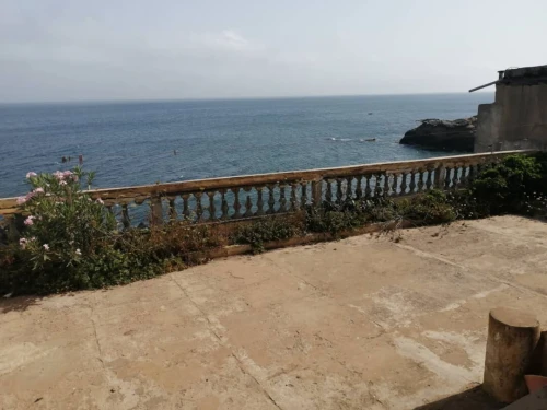 Vente Terrain Alger Rais hamidou