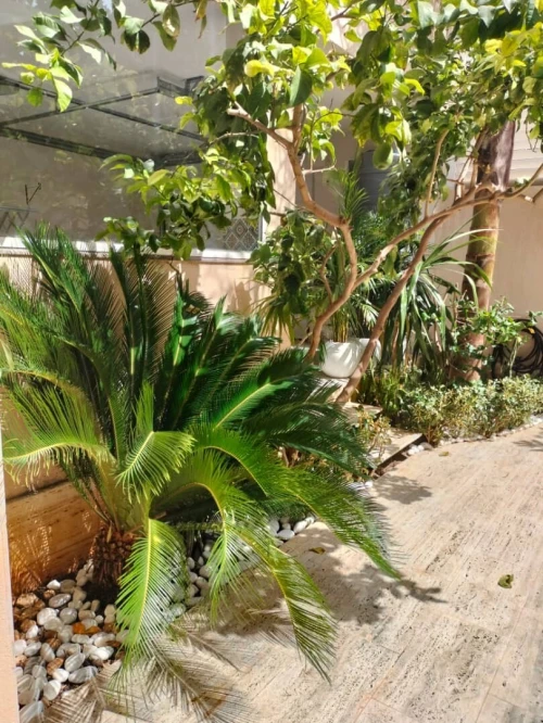 Vente Villa Alger Hydra