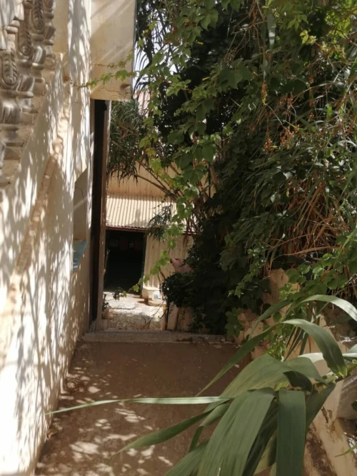 Vente Terrain Alger Rais hamidou
