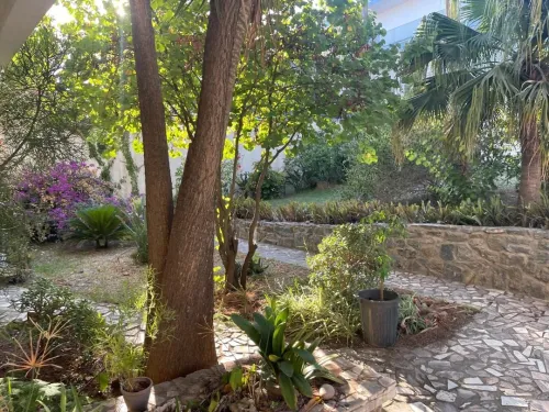 Location Villa Alger Hydra