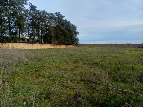 Vente Terrain Boumerdès Hammedi