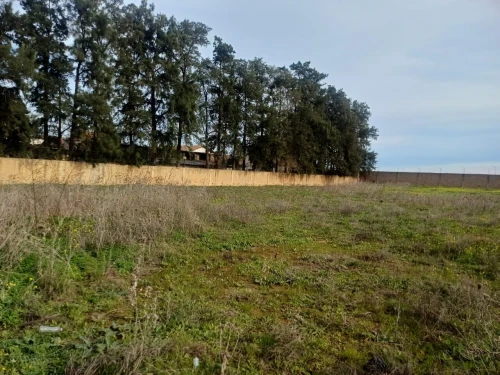 Vente Terrain Boumerdès Hammedi