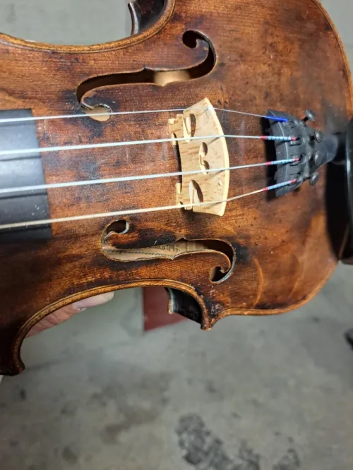 Violon 