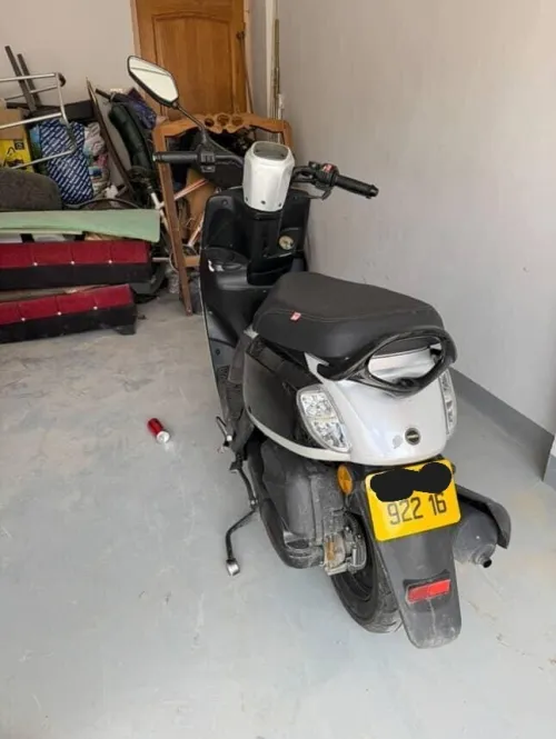 VMS Estate 2022
