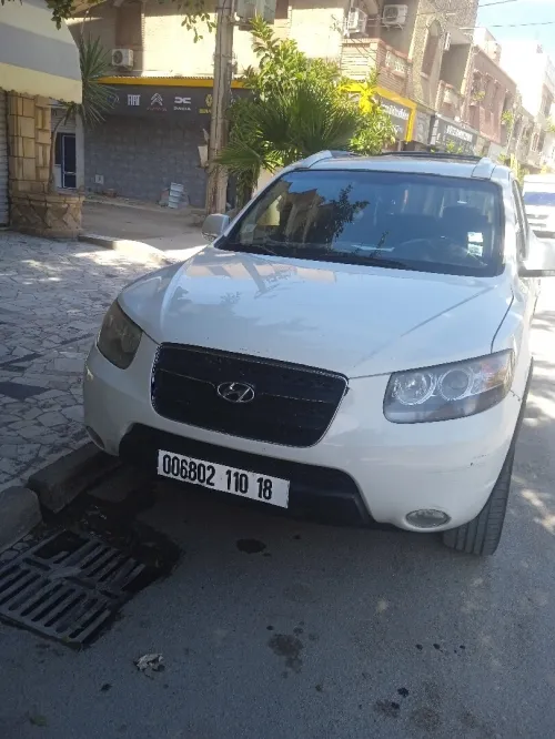 Hyundai SantaFe 2010 SantaFe