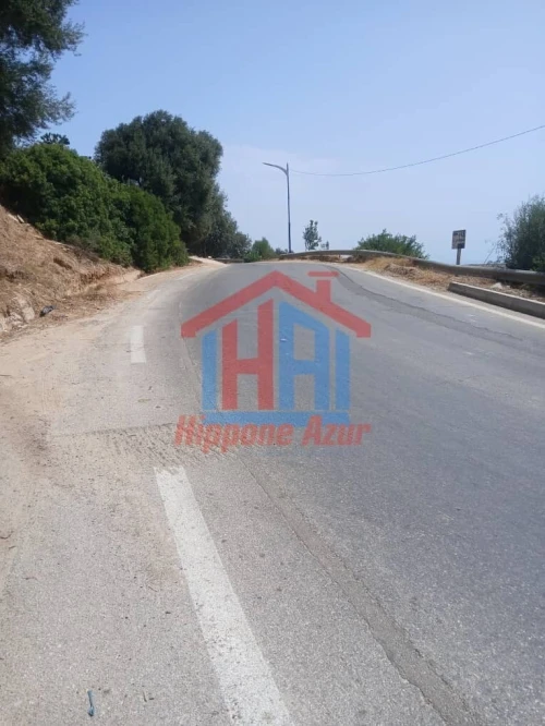 Vente Terrain Annaba Annaba