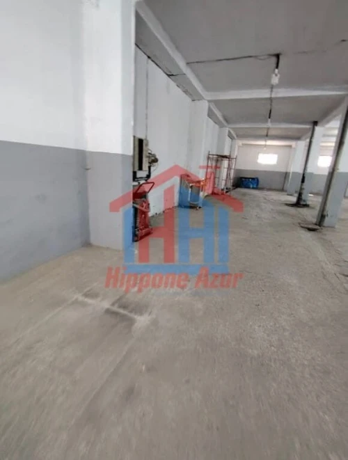 Location Hangar - Usine Annaba El hadjar