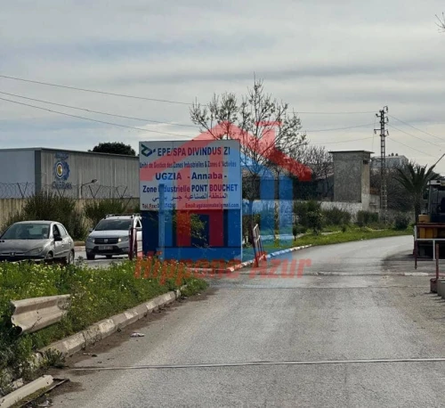 Cherche achat Hangar Annaba Annaba