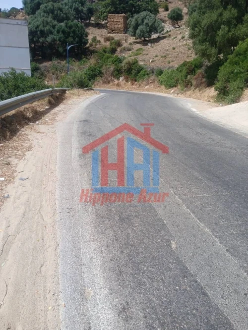 Vente Terrain Annaba Annaba