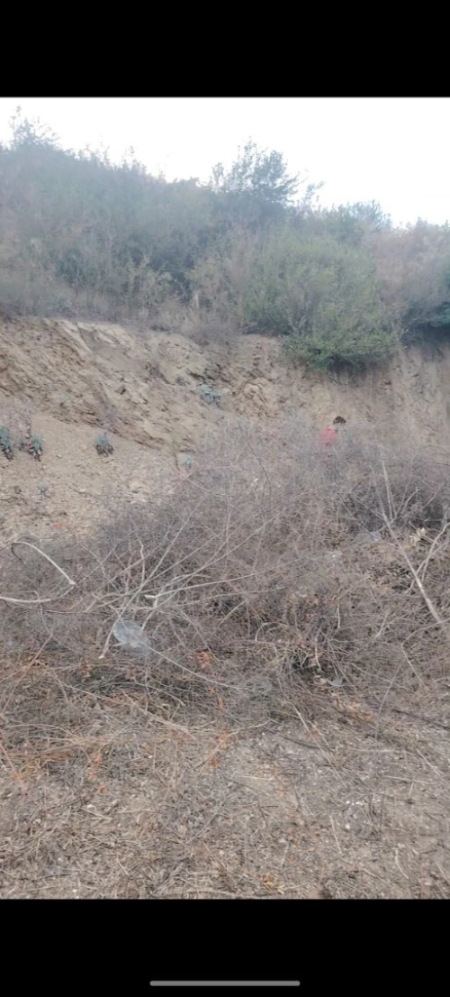Vente Terrain Béjaïa Bejaia