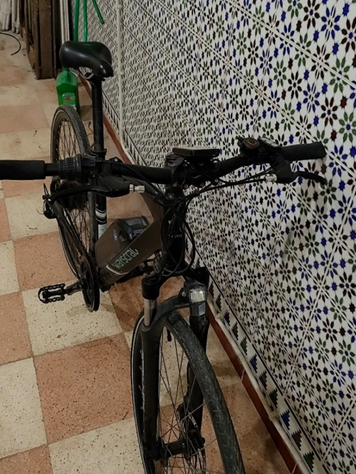 Vélo électrique wayscral e100