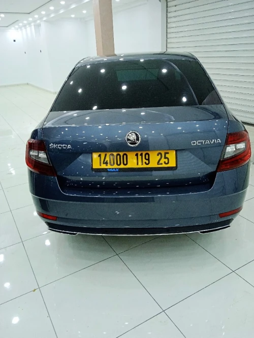 Skoda Octavia 2019 Clever