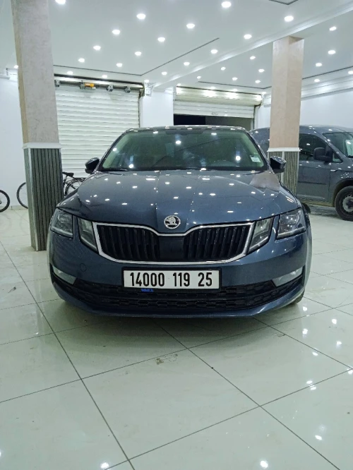 Skoda Octavia 2019 Clever