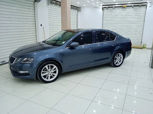 Skoda Octavia 2019 Clever