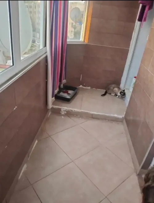 Vente Appartement F4 Constantine Ain smara