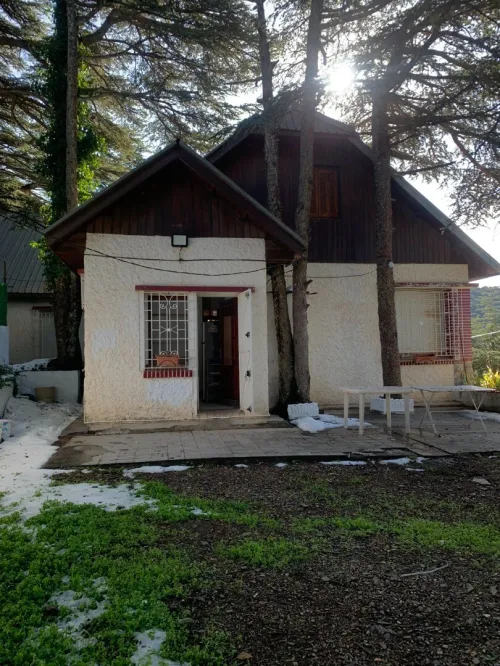 Location bien immobilier Blida Chrea