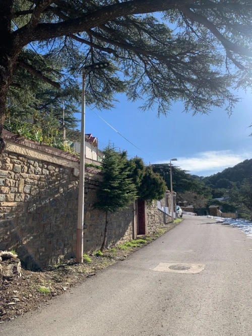 Location bien immobilier Blida Chrea
