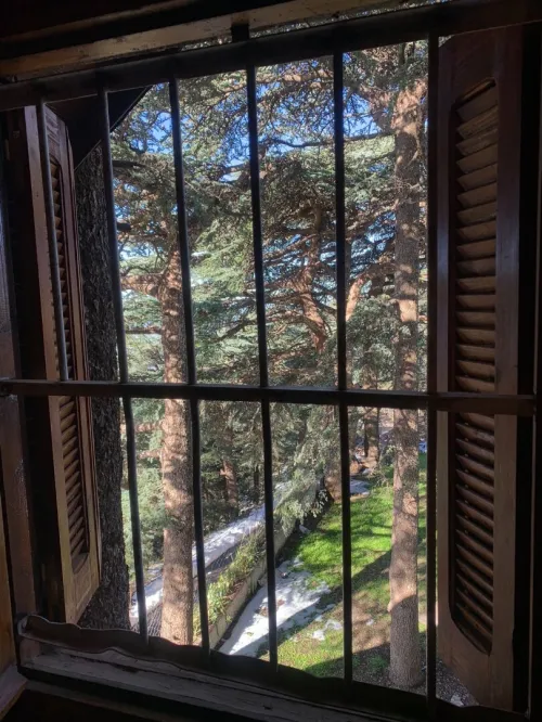 Location bien immobilier Blida Chrea