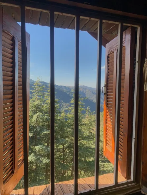 Location bien immobilier Blida Chrea