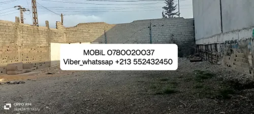 Location Hangar Alger Ouled chebel