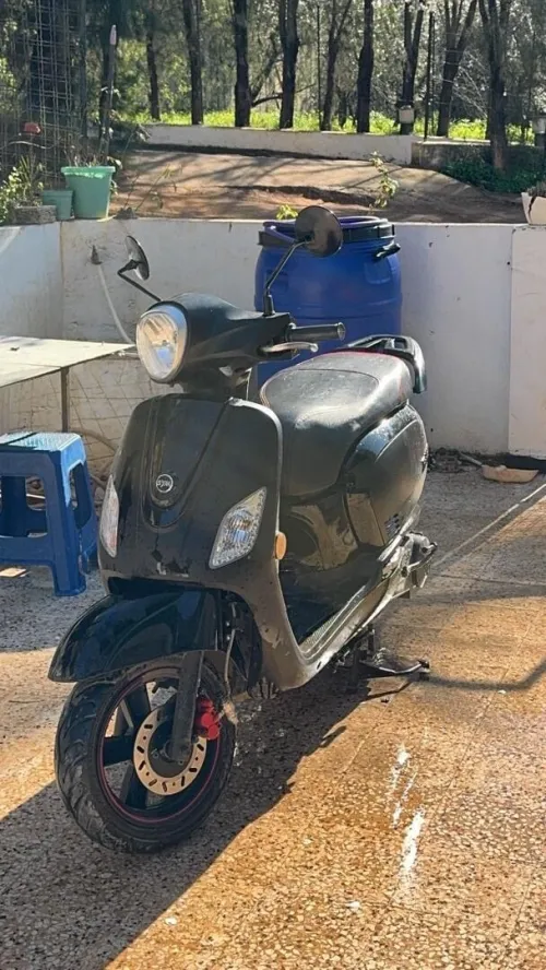 Sym Fiddle 3 2024