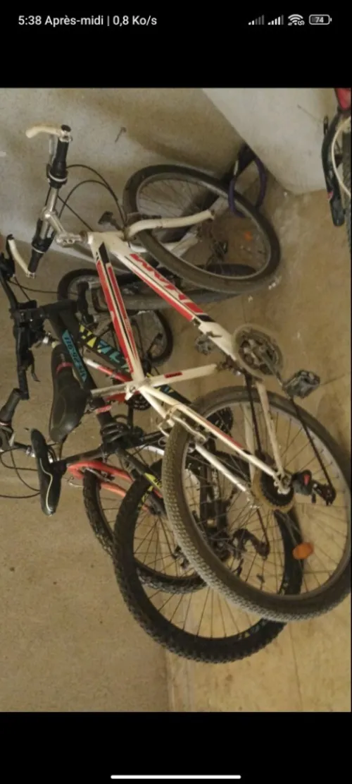 HAM_MTB MTB 2021