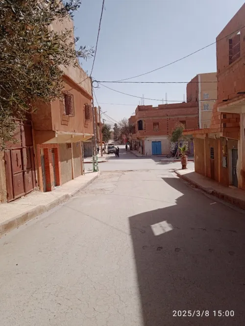Vente Terrain El Bayadh El bayadh