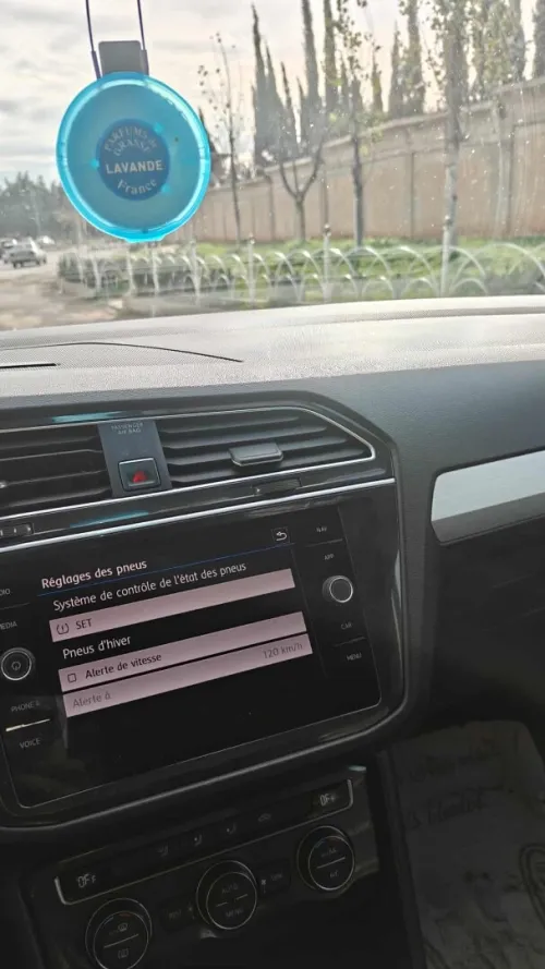 Volkswagen Tiguan 2017 Tiguan